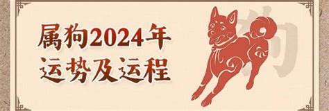 2024狗年運程1982|1982年属狗人2024年全年运势详解 42岁生肖狗2024年。